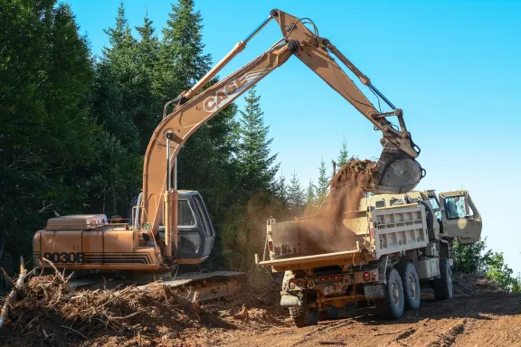 Dendy Kazino Pagalba